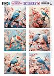 Scenery Berries Beauties - Blue Bird