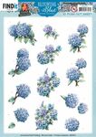 YC - Blooming Blue - Hydrangea