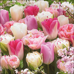 Servetten - Pink Tulips 5st