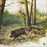 Servetten - Wild Boars in the Woods 5st