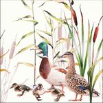 Servetten - Ducks Couple 5st