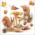 Servetten - Squirrel Go Nuts 5st