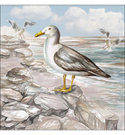 Servetten - Seagull on the Shore 5st