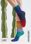 Sockology - Instructies sokkenbreien