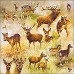 Servetten - Collage of Deers 5st