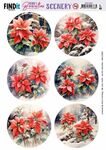 Scenery Berries Beauties - Poinsettia