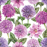 Servetten - Dahlias in Bloei 5st