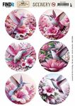 Scenery BB - Pink Hummingbird rond