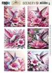 Scenery BB - Pink Hummingbird 4k