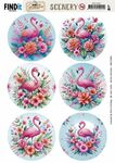 Scenery BB - Flamingo rond