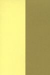 Duo karton Geel - goud - 5vel