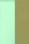 Duo karton Lichtgroen - goud - 5vel