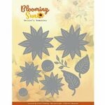 Snijmal BB - Blooming Sun - Sunny Flower