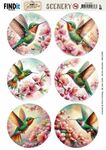 Scenery BB - Lovely Hummingbirds rond