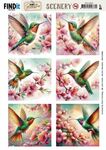 Scenery BB - Lovely Hummingbirds 4k