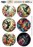 Scenery BB - Vintage Hummingbirds rond
