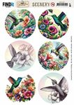 Scenery BB - Colorful Hummingbirds rond
