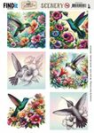 Scenery BB - Colorful Hummingbirds 4k