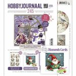 SetHJ245 Hobbyjournaal 245