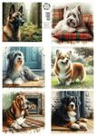 Knipvel Friends for Live - Lovely Dogs 3