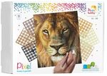 Pixelhobby - Leeuw met 9 basisplaten
