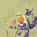 Servetten - Bird life green 5st
