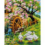 Orchidea canvas - Spring is Coming 24x30