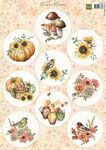 Vk9637 Knipvel - Autumn Flowers - A4