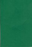 0197 Passepartout kaart ster groen 5st.