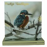 WOC 8 Kerstkaarten + Envelop ijsvogel