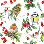 Servetten - Birds in winter 5st