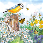 Servetten - Birds watching 5st