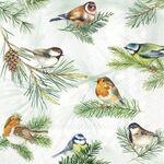 Servetten - Charming Birds green 5st