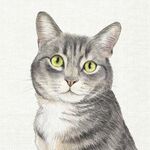 Servetten - Farm Cat cream 5st