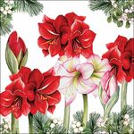 Servetten - Blooming Amaryllis 5st