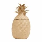 Bt094 Decopatch figuur - Doos Ananas - 14x14x26cm