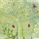 957000 IHR Servetten - Ladybirds, lieveheersbeestjes 5st