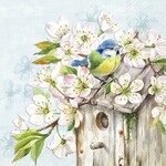 1033849 IHR Servetten - Cherry Blossom Birdhouse 5st