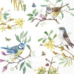 1066600 IHR Servetten - Spring Story 5st