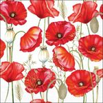 13320415 Decopage servetten - Poppy all over white - 5st