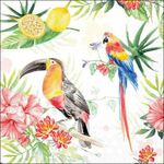 13320610 Decoupage servetten - Tropical Birds 5st