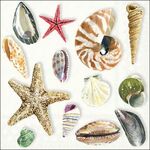 13317390 Decoupage servetten - Shells - 5st