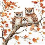 13320890 Decopage servetten - Family of owls - 5st