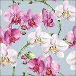 Decoupage servetten - Elegant orchids blue - verpakt per 5st