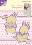 6002/0436 C&E Spring rabbits